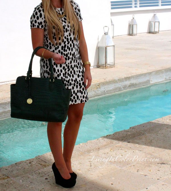 Dalmatian, black and white polka dots, polka dot dress, Miami Fashion Blogger