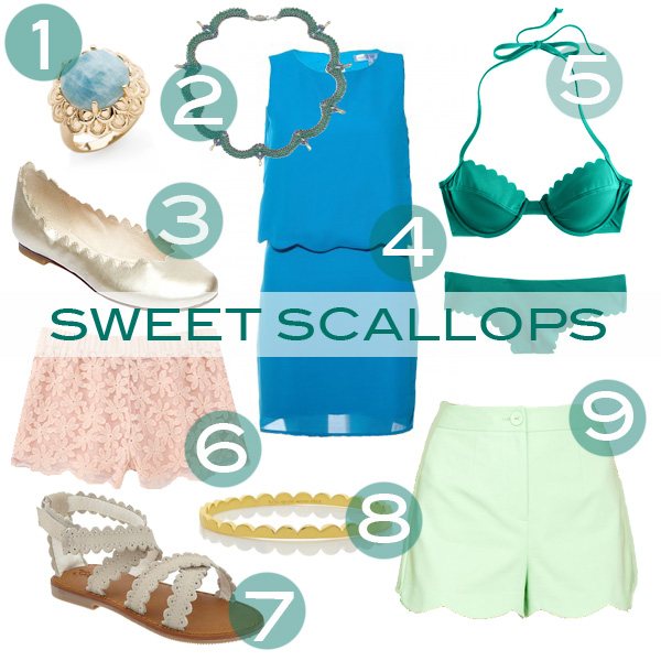 Sweet Scallops // Living In Color Print