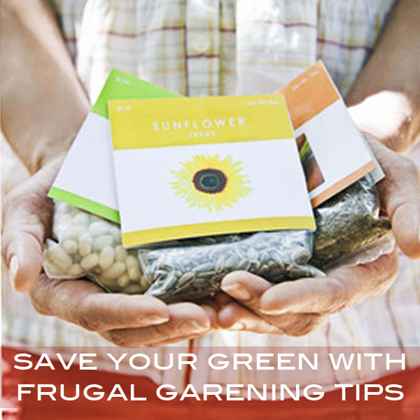 save your green with frugal gardening tips