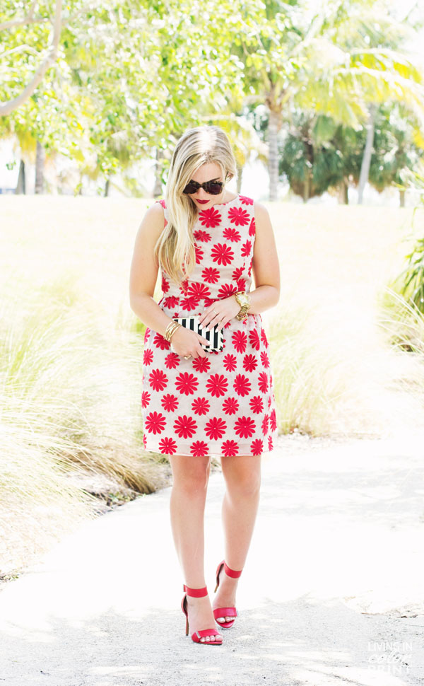 Red Daisies | Living In Color Print