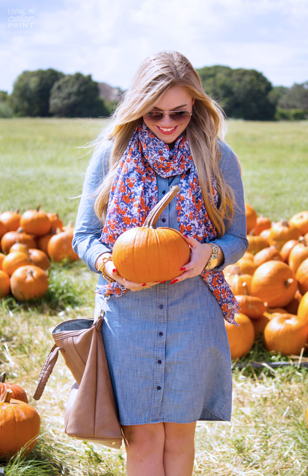 Pumpkin Patch | Living In Color Print