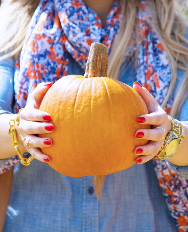 Pumpkin Patch | Living In Color Print