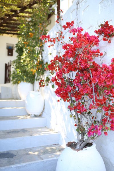 2 1/2 Week Honeymoon Itinerary | Greek Islands - Color By K