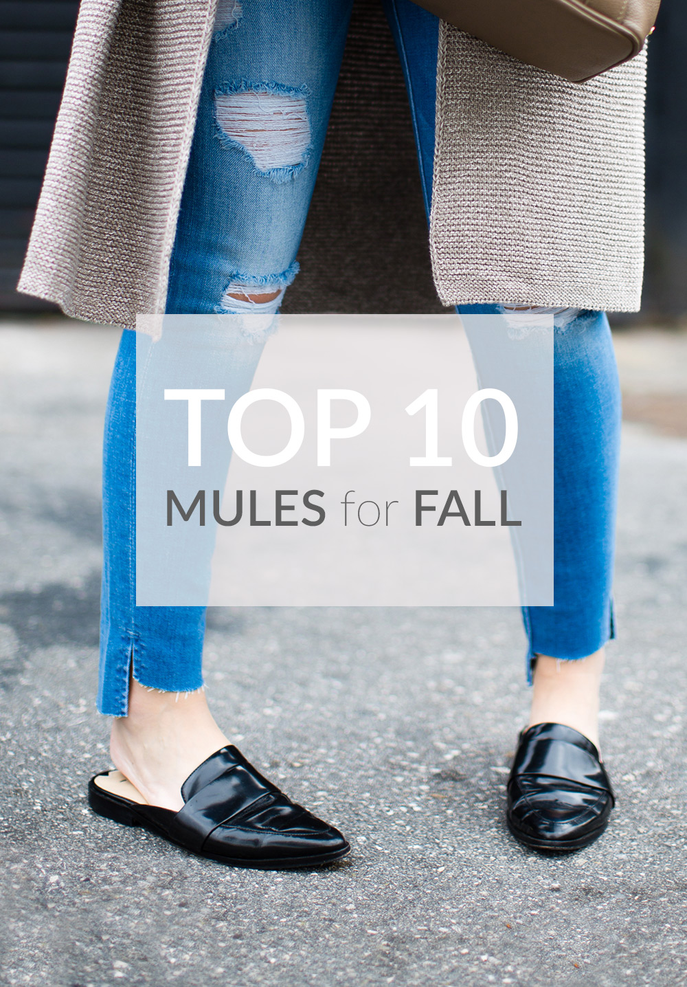 Mules for Fall