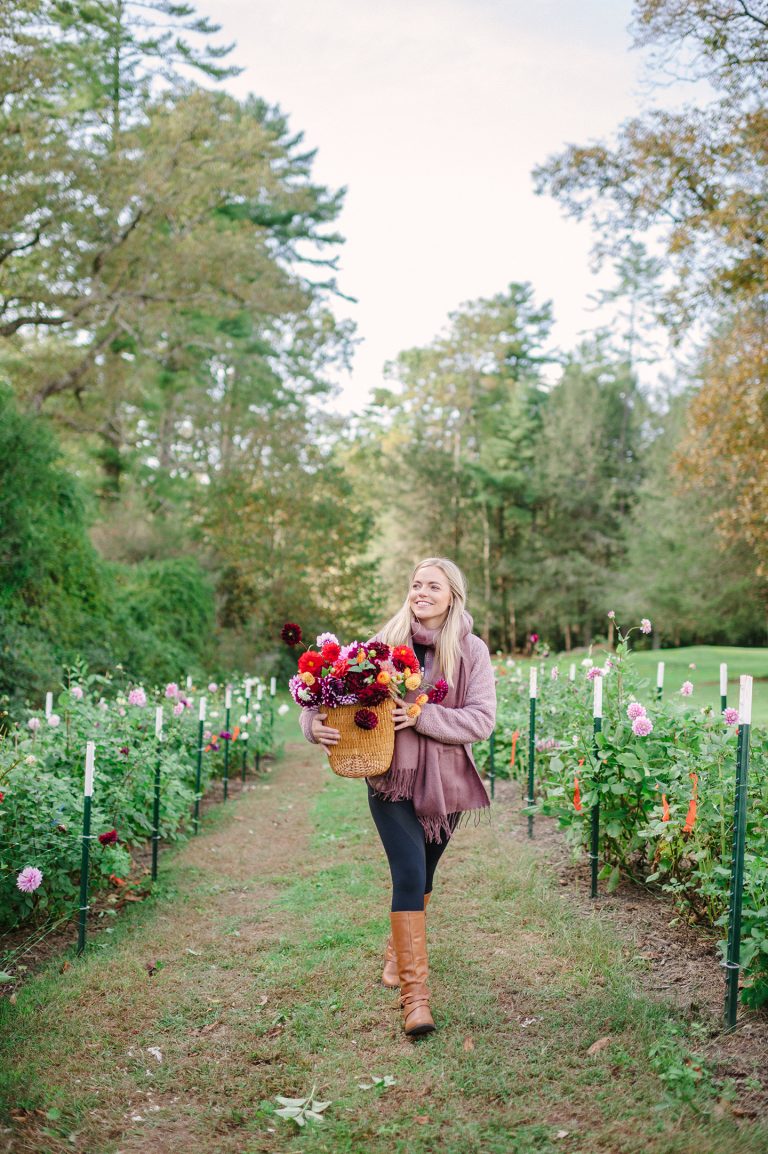 Dahlia Farm | Cashiers, NC - Color By K