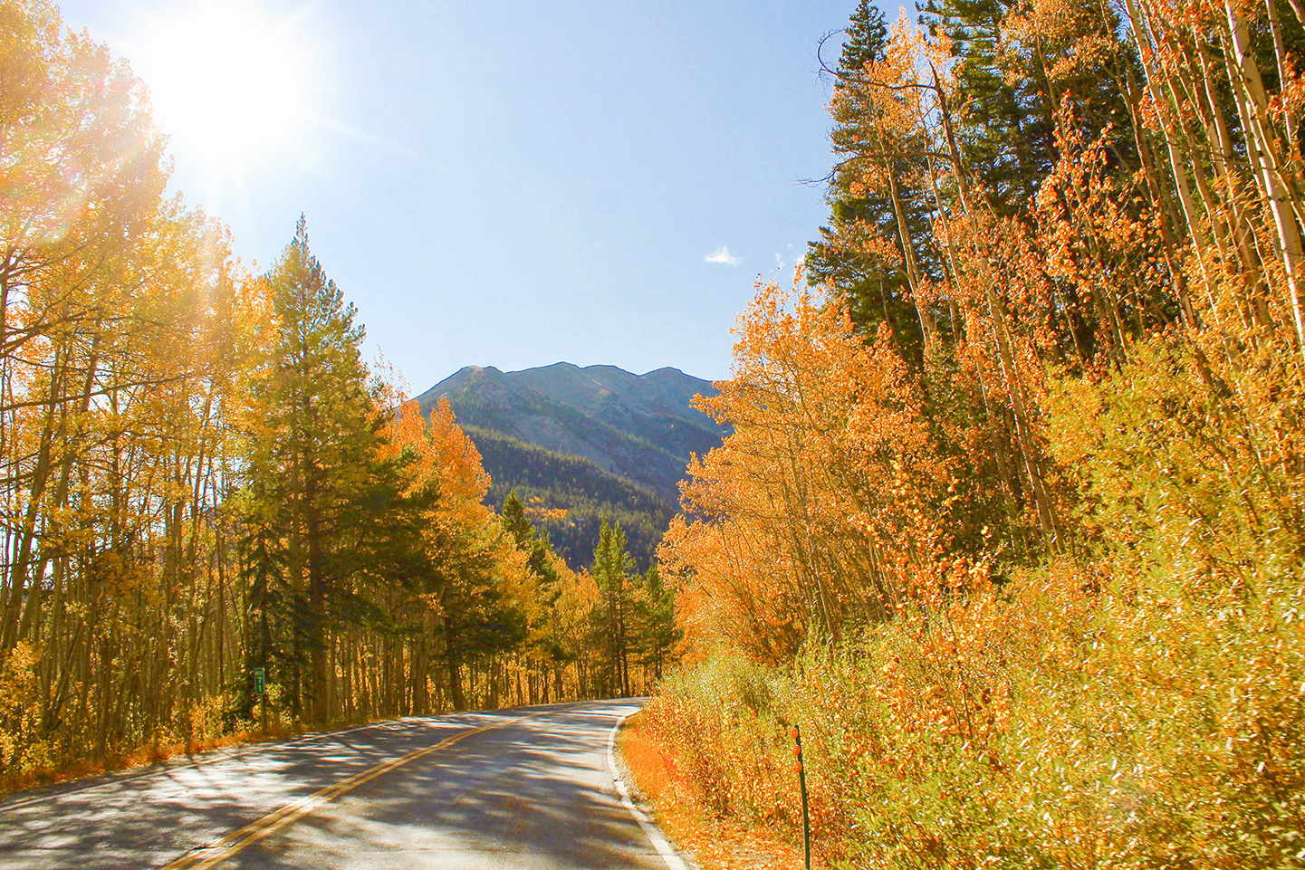 Guide to Leaf Peeping in Aspen, Colorado Color By K
