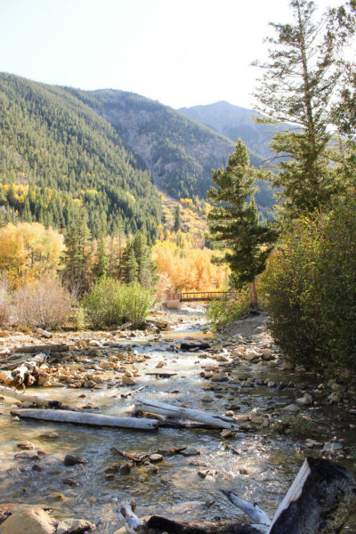 Guide to Leaf Peeping in Aspen, Colorado - Color By K