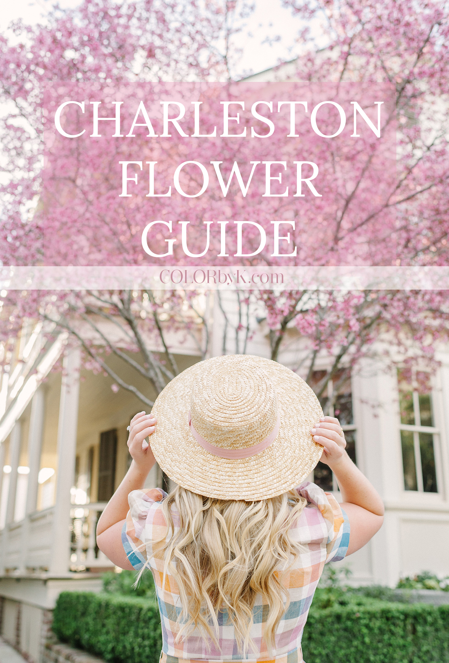 Charleston Flower Guide