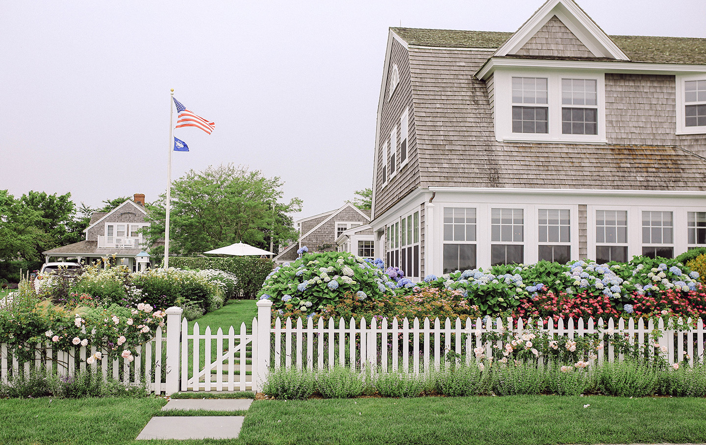 Favorite Places to Spot Hydrangeas on Nantucket - Color By K