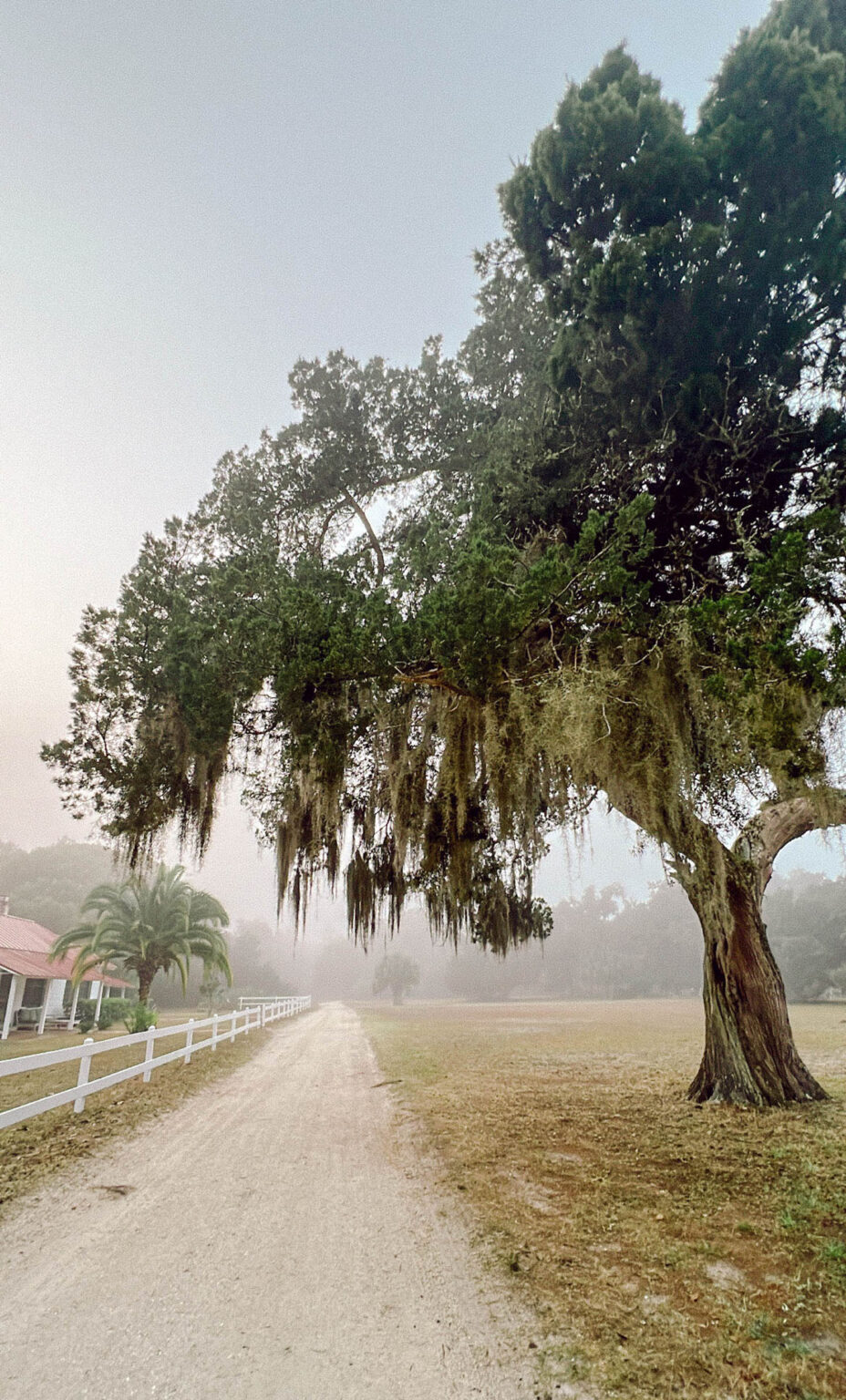 Greyfield Inn Review | Cumberland Island, Georgia - Color By K